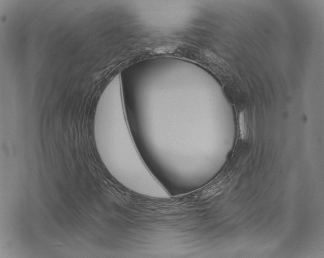 X0000073511443200607310906
