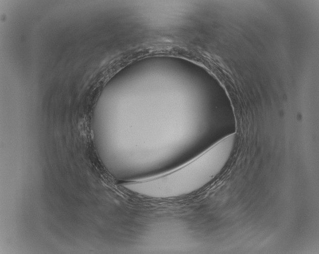X0000073511445200607310906