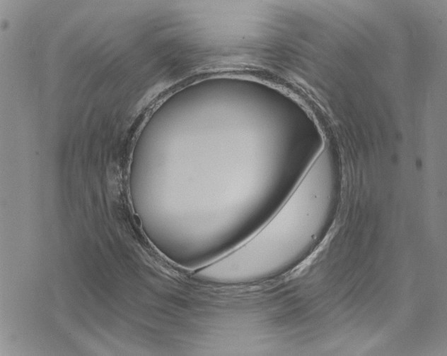 X0000073511449200607310906