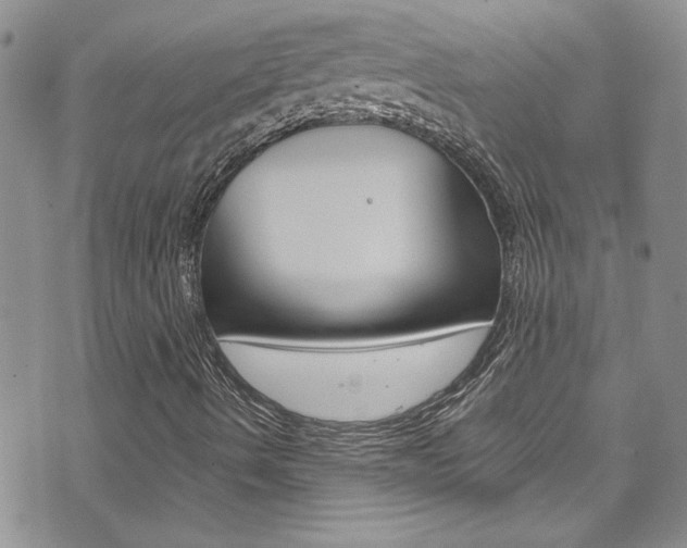 X0000073511490200607310904