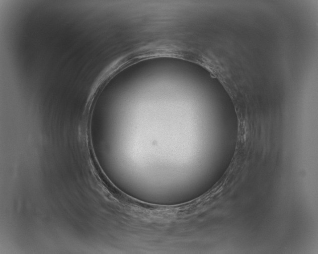 X0000073510004200607311330