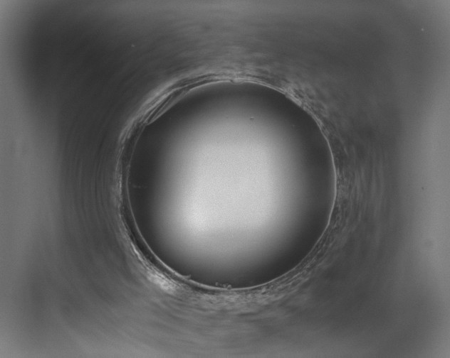 X0000073510005200607311330