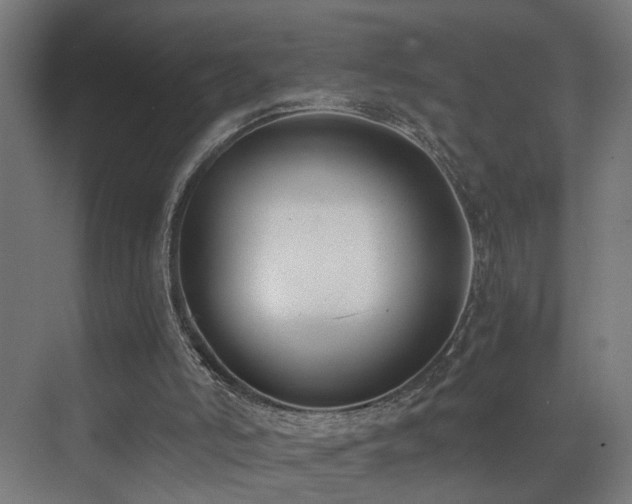 X0000073510006200607311330