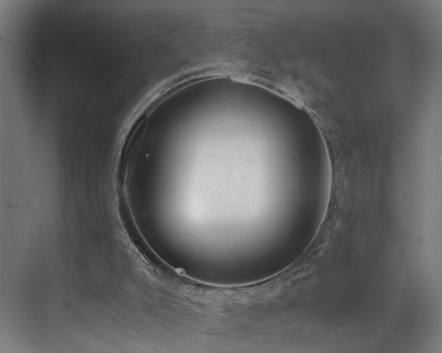X0000073510007200607311330