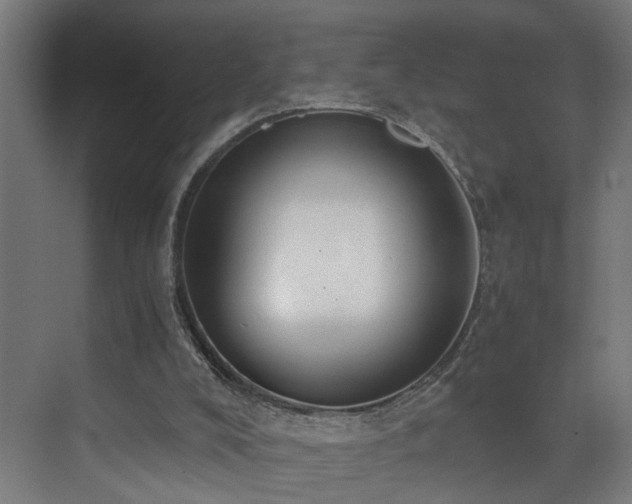 X0000073510008200607311330