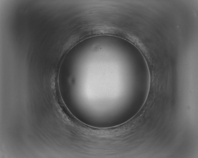 X0000073510010200607311330