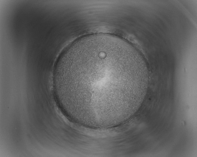 X0000073510012200607311330