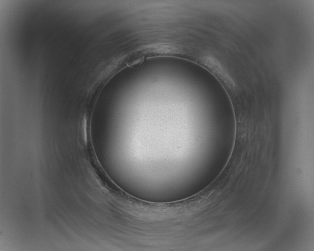 X0000073510014200607311330