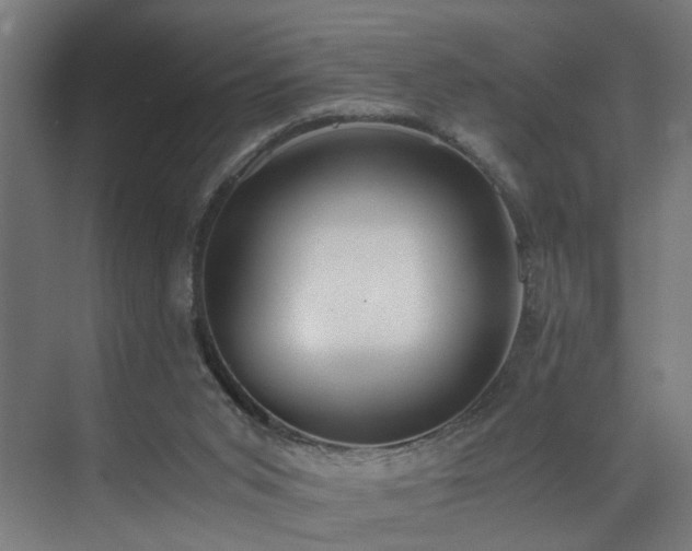 X0000073510015200607311330