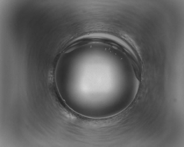X0000073510017200607311330
