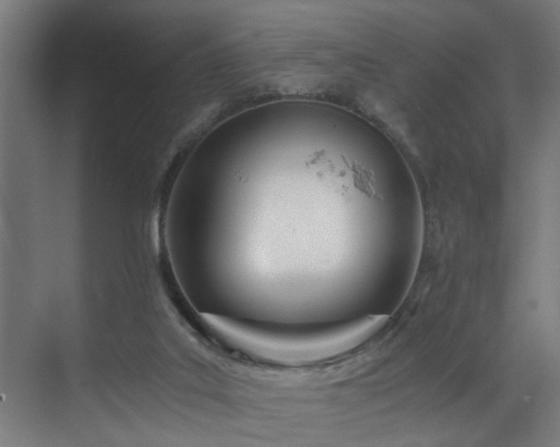 X0000073510019200607311330