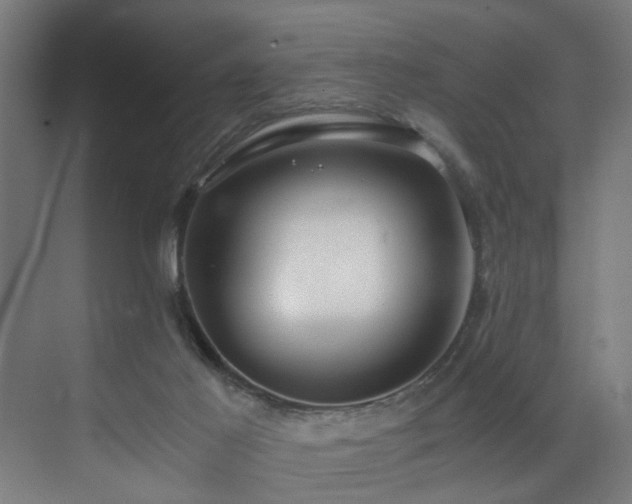 X0000073510021200607311330