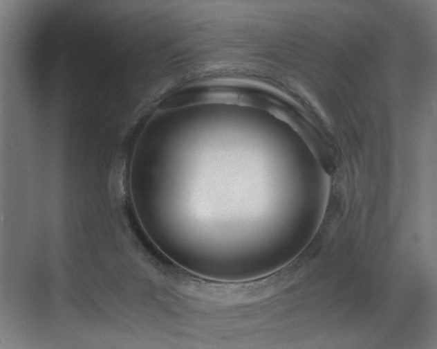 X0000073510023200607311330