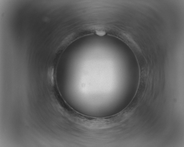 X0000073510024200607311330