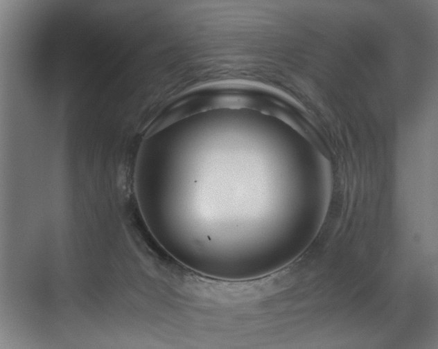 X0000073510031200607311330