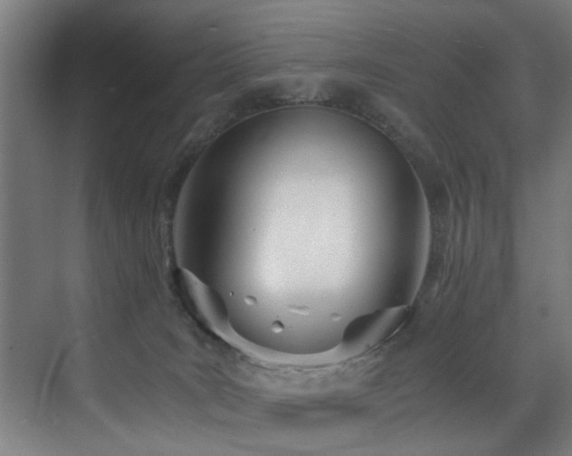 X0000073510035200607311330
