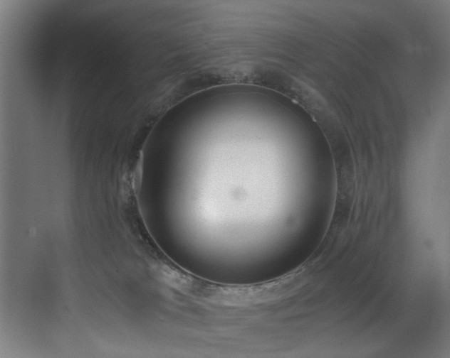 X0000073510037200607311330