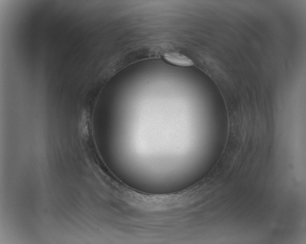 X0000073510038200607311330