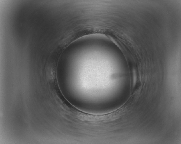 X0000073510039200607311330