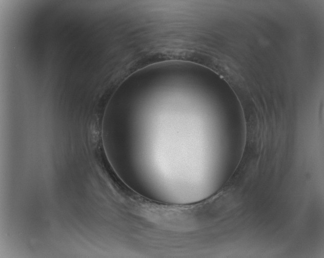 X0000073510040200607311330