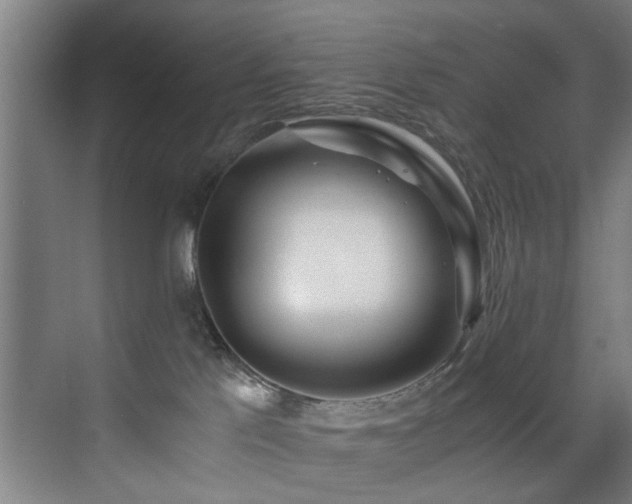X0000073510041200607311330