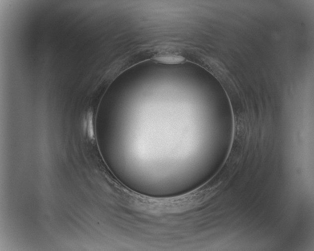 X0000073510046200607311330