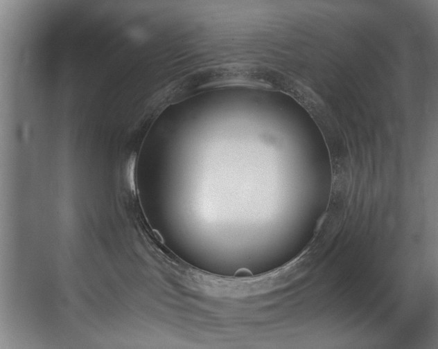X0000073510047200607311330