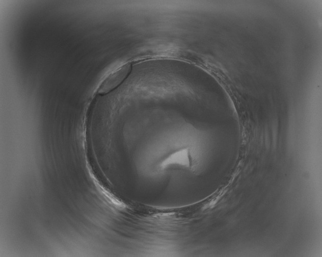 X0000073510054200607311329
