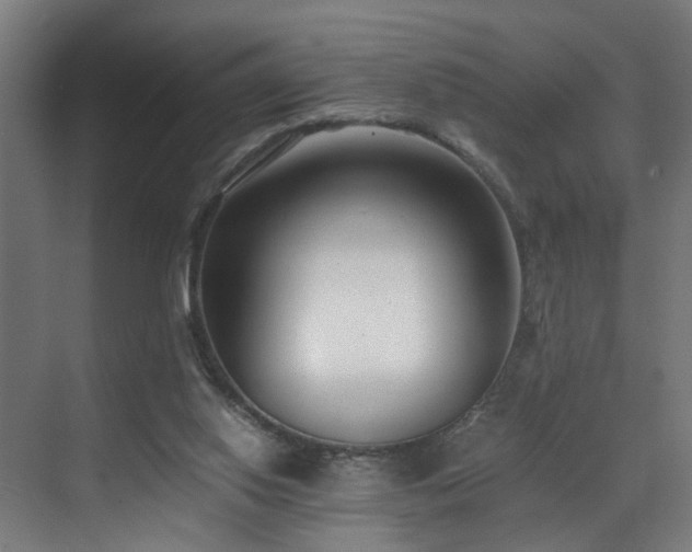 X0000073510062200607311329