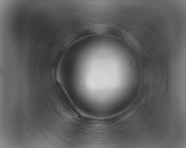 X0000073510073200607311329