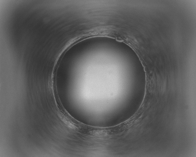 X0000073510100200607311329