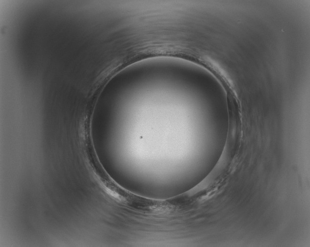 X0000073510105200607311329