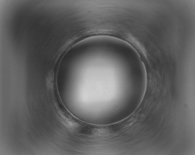 X0000073510107200607311329