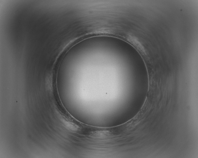 X0000073510108200607311329