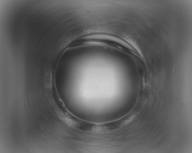 X0000073510109200607311329