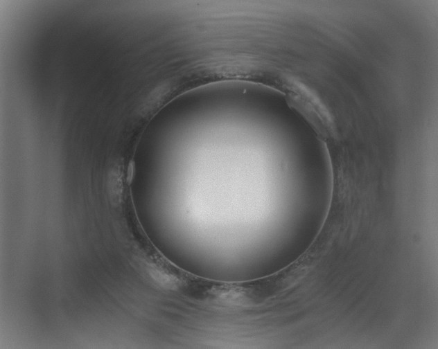 X0000073510113200607311329