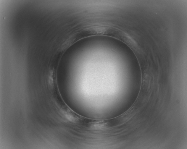 X0000073510122200607311329