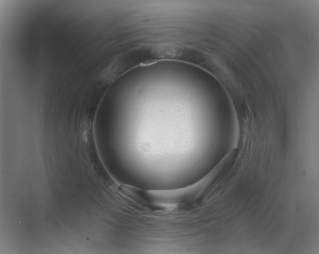 X0000073510125200607311328