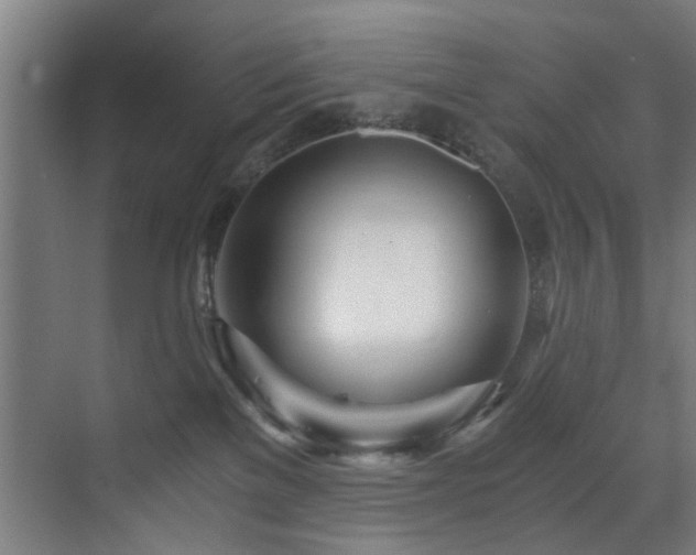 X0000073510137200607311328