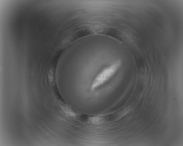 X0000073510139200607311328