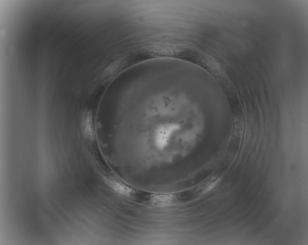 X0000073510143200607311328