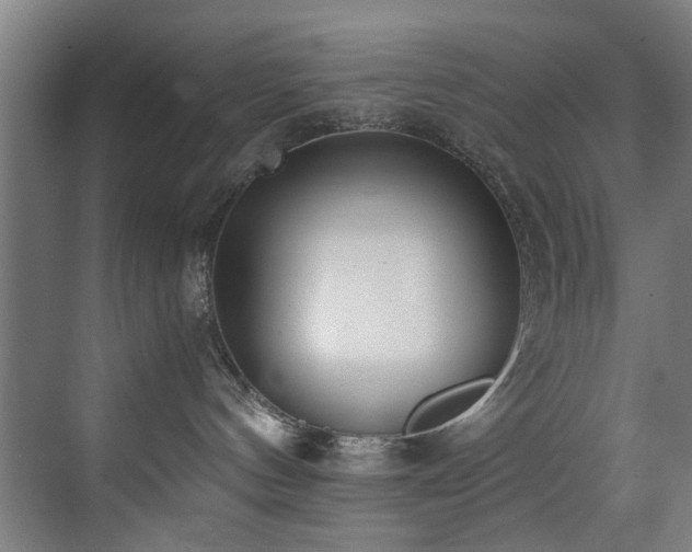 X0000073510144200607311328