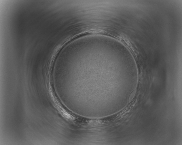 X0000073510145200607311327