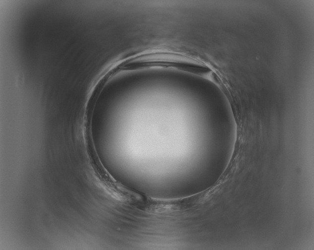 X0000073510152200607311327