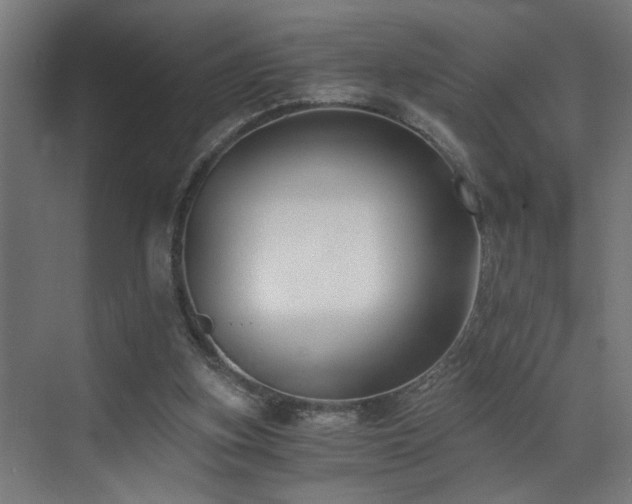 X0000073510155200607311327