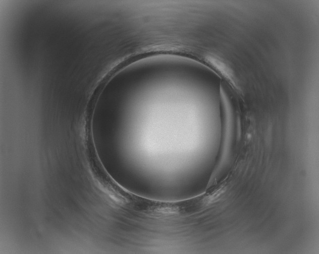 X0000073510156200607311328