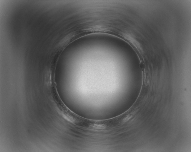 X0000073510157200607311328