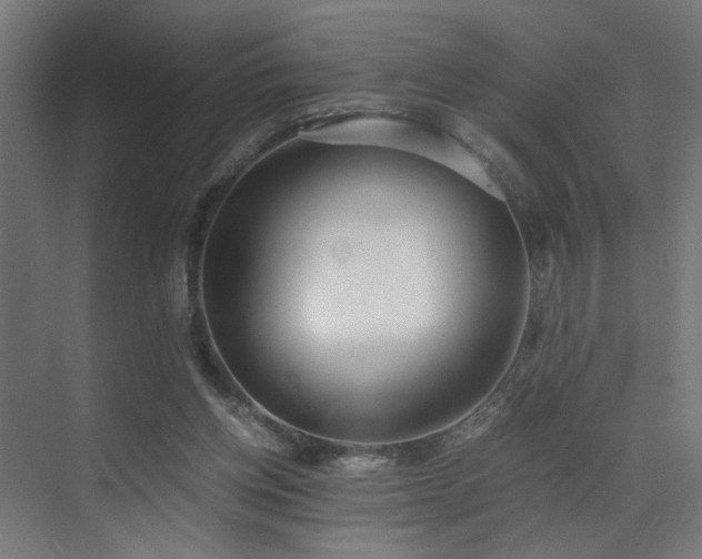 X0000073510158200607311328