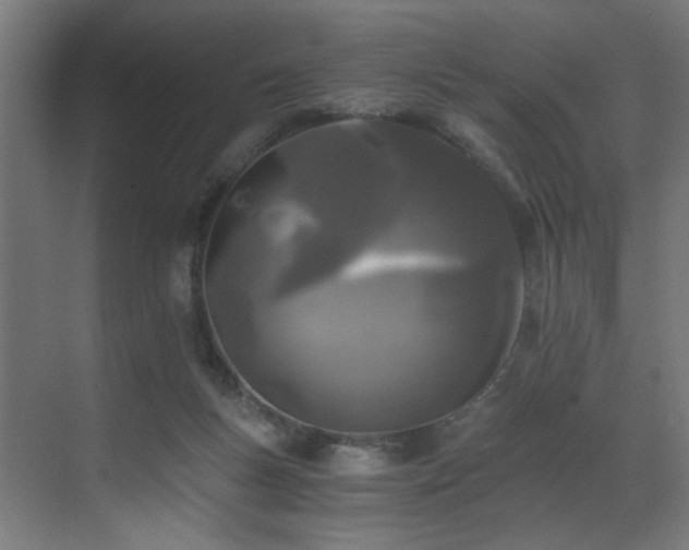 X0000073510167200607311328