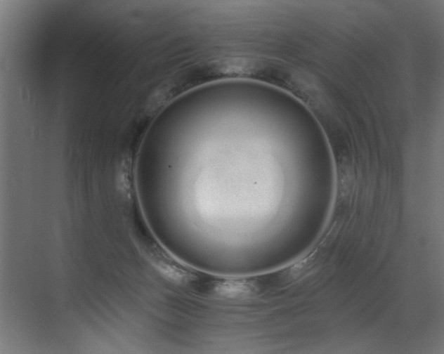 X0000073510175200607311328